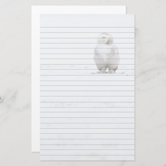 私を見ている鳥のSnowyの動物のフクロウ 便箋 (正面/裏面)