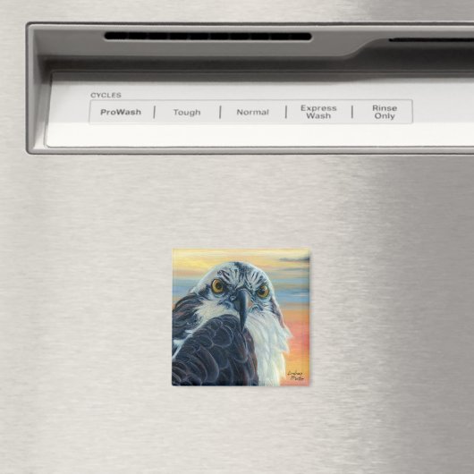 「私を見てるのか?」 マグネット (インサイチュ (食洗機))