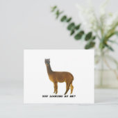 私を見てるの？ ポストカード (スタンド正面)