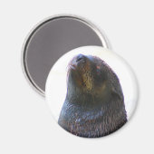 私を見てるの！ マグネット (正面/裏面)