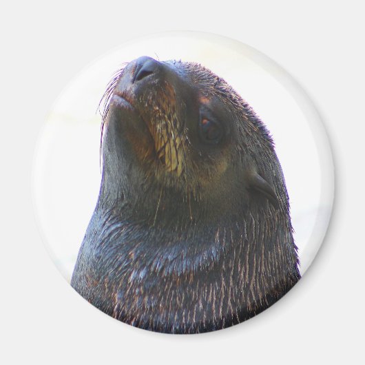 私を見てるの！ マグネット (正面)