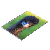 私を見てるの？- Ostrich Notebook ノートブック (左側)