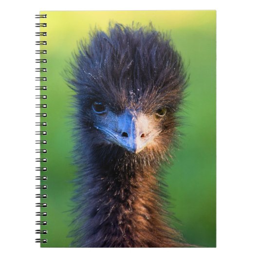私を見てるの？- Ostrich Notebook ノートブック (正面)
