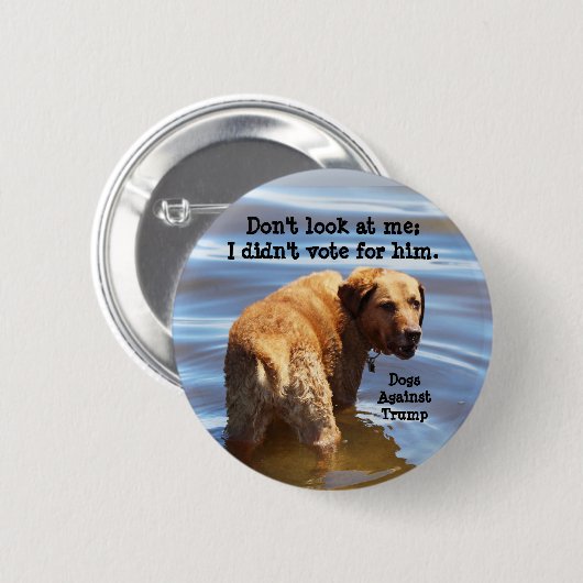 私を見ないで下さい: 私は彼のために投票しませんでした 缶バッジ (正面&裏面)