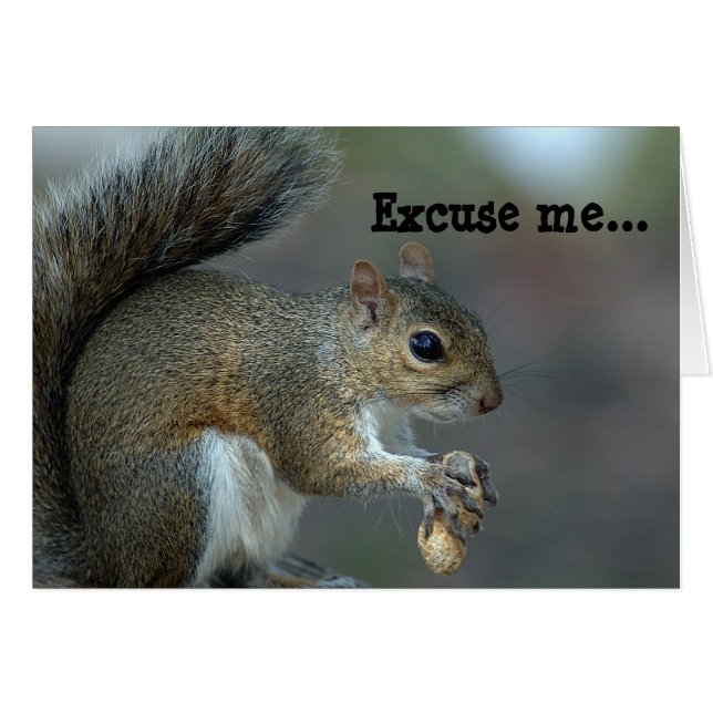 私を許して下さい…送り装置が空の! (正面横)