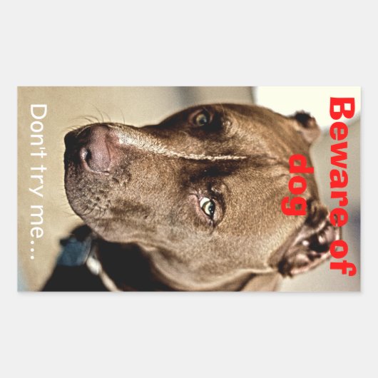 私を試すな…犬に注意 – ステッカー (正面)
