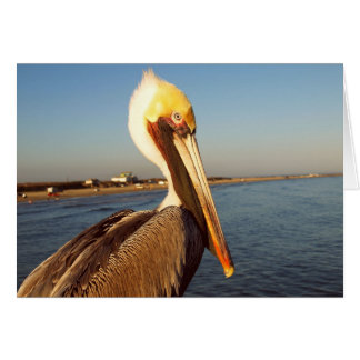 私を赤面させます