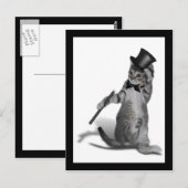私を踊り感じのように!タップ踊り猫 ポストカード (正面/裏面)