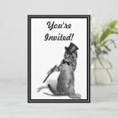 私を踊り感じのように！タップ踊り猫 招待状 (スタンド正面)