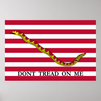 私を踏み付けない – Navy Jack ポスター
