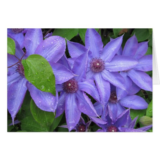 私を青TBDシリーズ愛して下さい (正面横)