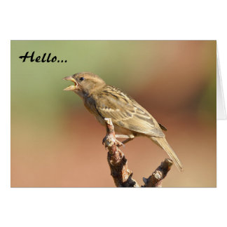 私を食べ物を与えて下さい!