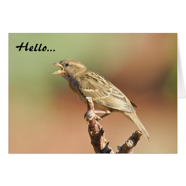 私を食べ物を与えて下さい! (正面横)