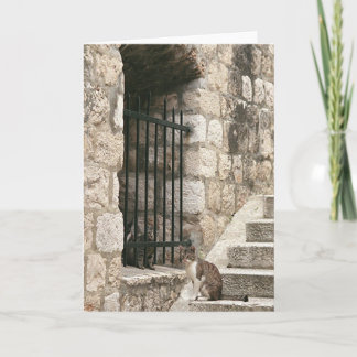 "私を"梳きます救い出して下さい(中ブランク) カード