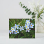 私をNots忘れて下さい ポストカード (スタンド正面)