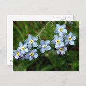 私をNots忘れて下さい ポストカード (正面/裏面)