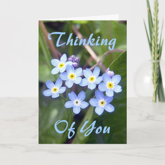 私をNots 2の挨拶状忘れて下さい カード (正面)