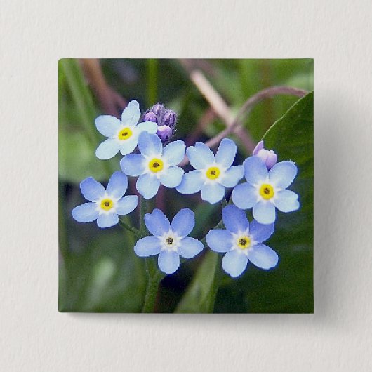 私をNots 2ボタン忘れて下さい 缶バッジ (正面)