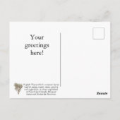 私カスタマイズはお仕事用はがき ポストカード (裏面)