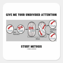 私与えよ未割り当て勉強有糸分裂 スクエアシール