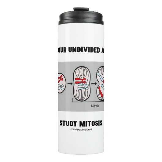 私与えよ未割り当て勉強有糸分裂 タンブラー (正面)