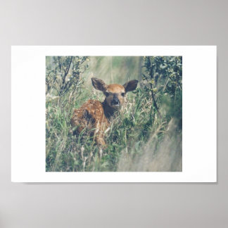 私後を追。 ポスター