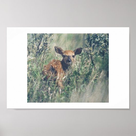 私後を追。 ポスター (正面)