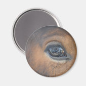 私得の目 マグネット (正面/裏面)