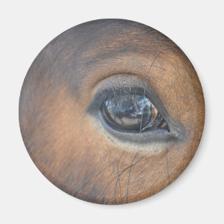 私得の目 マグネット