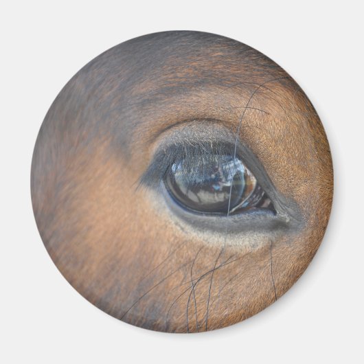 私得の目 マグネット (正面)