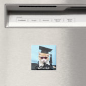 私得のB. マグネット (インサイチュ (食洗機))