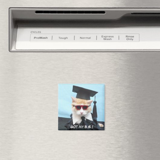 私得のB. マグネット (インサイチュ (食洗機))