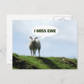 私恋しく思は羊おもしろいのユー ポストカード (正面/裏面)