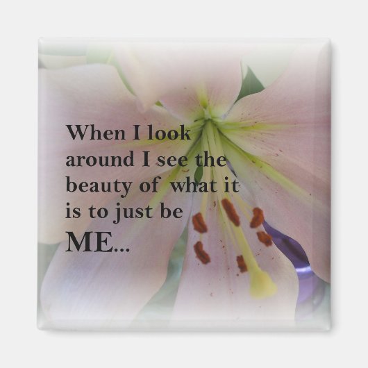 私感動的方磁石である美しい マグネット (正面)