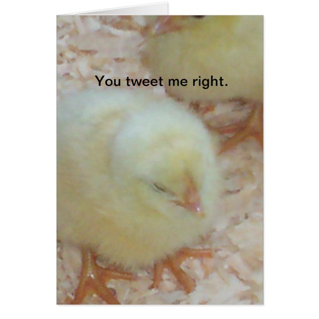 私正しくさえずります (正面)