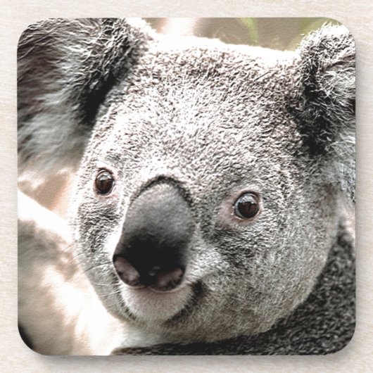 私気に_ コースター (正面)