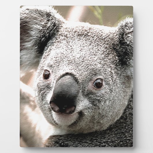 私気に_ フォトプラーク (正面)