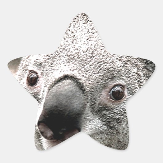 私気に_ 星シール (正面)