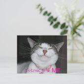 私素晴らしだ ポストカード (スタンド正面)