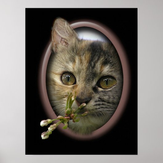 私考えの仲間 ポスター (正面)