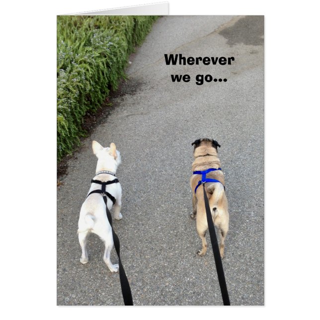 私達が一緒にある限り (正面)