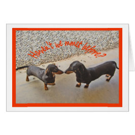 私達が前に会ったHaventか。ユーモア