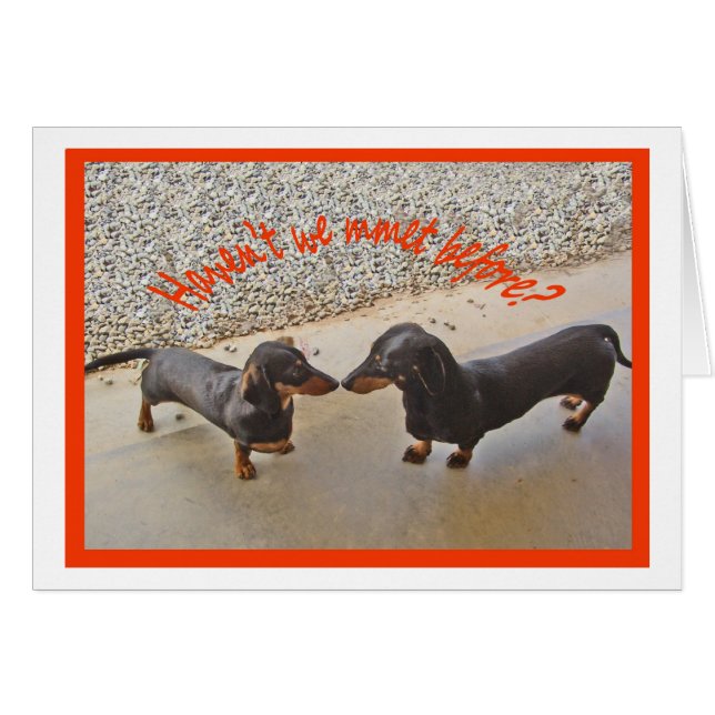 私達が前に会ったHaventか。ユーモア (正面横)