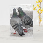 私達にキスハトカードを与えて下さい カード (黄色い花)