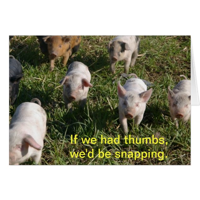 私達に親指があったら (正面横)