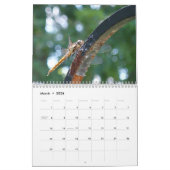 私達のまわりの2015年の生命カレンダー カレンダー (3月 2026)