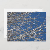 私達のサービスメンバーの~ 14を感謝していして下さい ポストカード (正面/裏面)