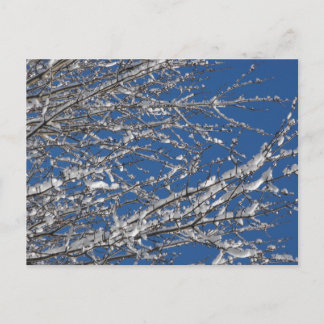 私達のサービスメンバーの~ 14を感謝していして下さい ポストカード