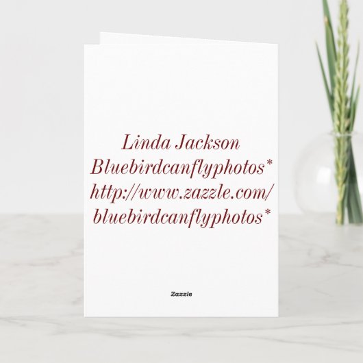 私達の家からのあなたのへのメリークリスマス! シーズンカード (裏面)