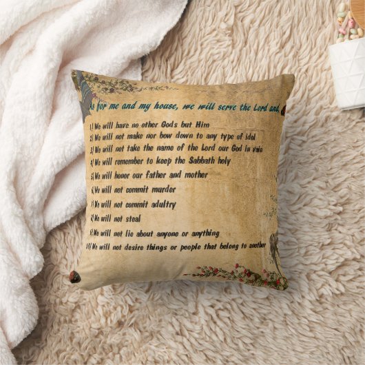 私達の家は装飾用クッションを支配します クッション (ブランケット)